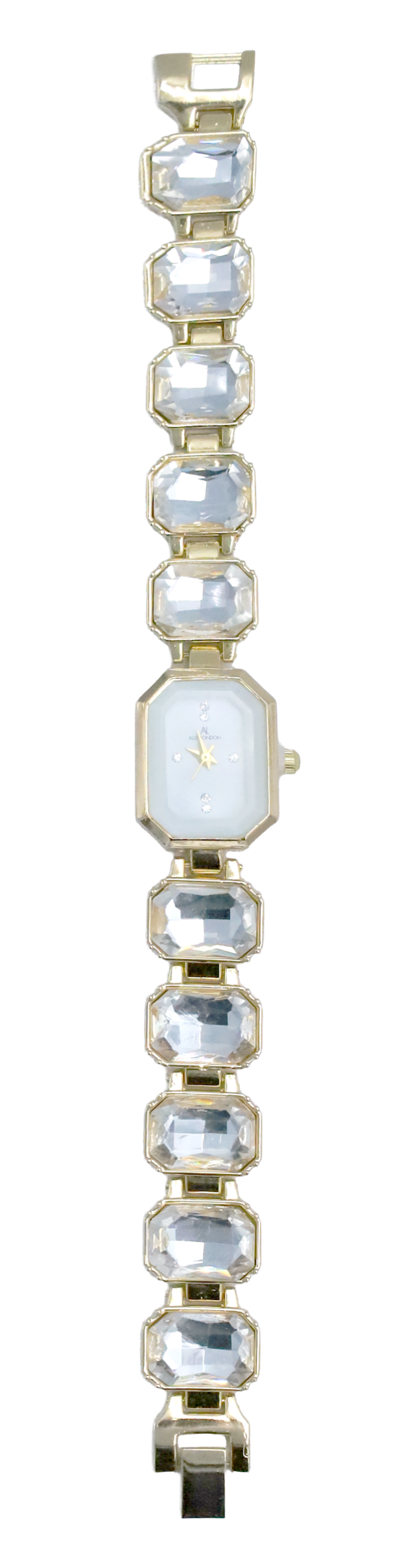 Frosted Elegance Timepiece